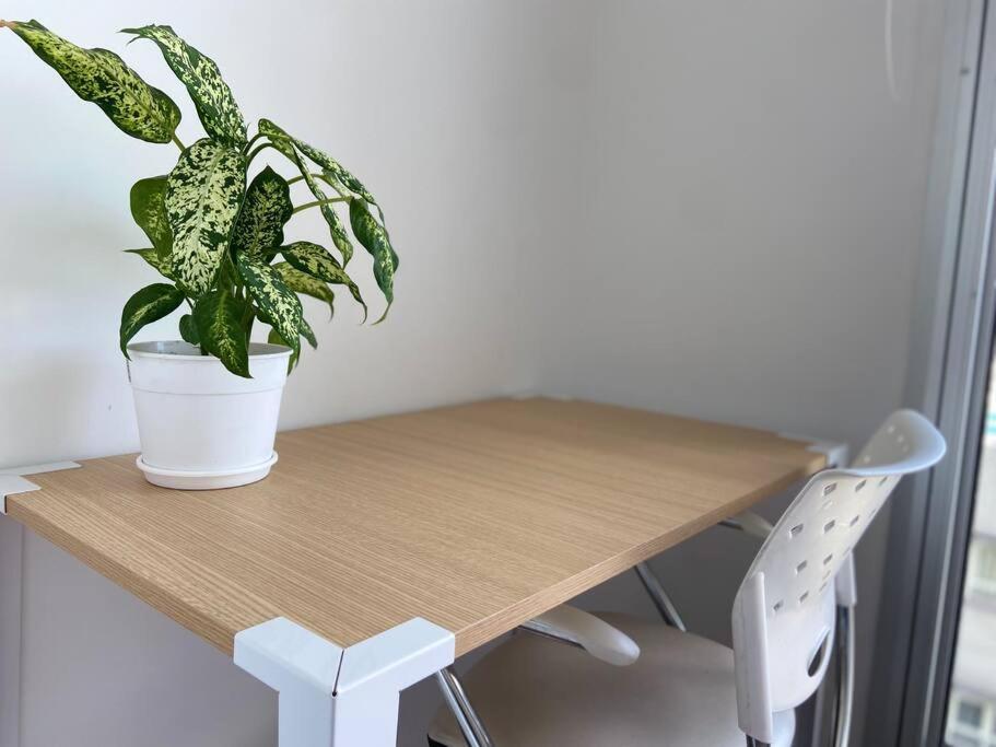 Apartment Nuevo Guevara In Upgrade Buenos Aires