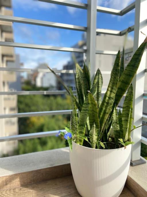 Apartment Nuevo Guevara In Upgrade